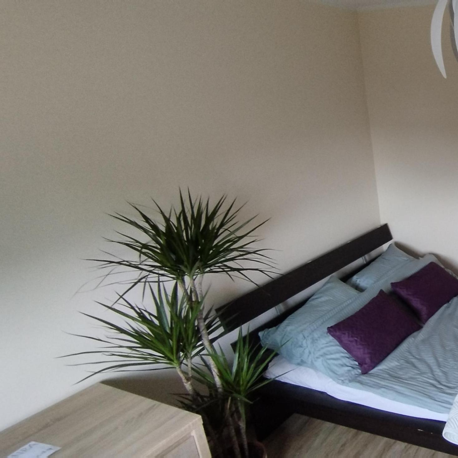 Apartament A8 Gdynia Orlowo Екстериор снимка